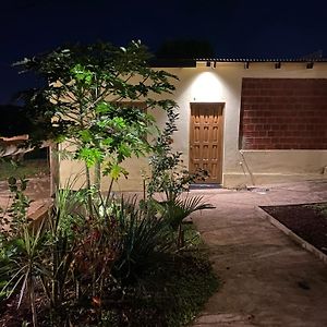 Apartamento Superior de 1 Dormitorio